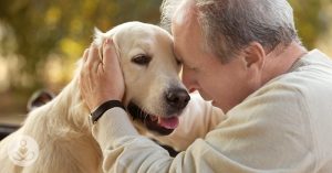 These dads said they didn’t want a dog. Here’s how that worked out for them old man and dog