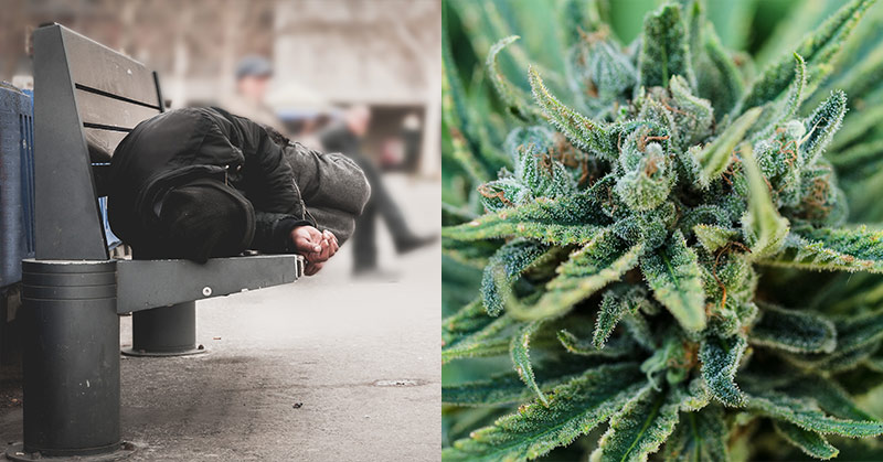 homeless person the bench colorado helps using marijuana taxes