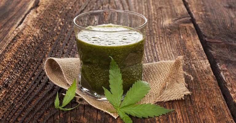 The Potential Health Benefits Of Juicing Cannabis - Featured image