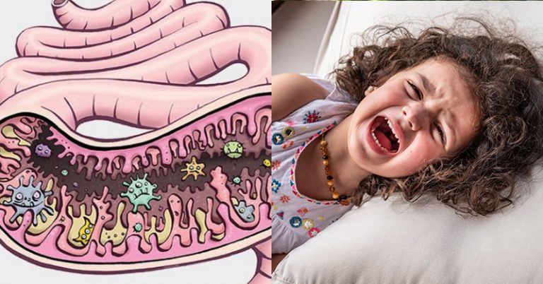 Gut Bacteria and Your Kid’s Behavior: Research Sheds Light on a Link - Featured image