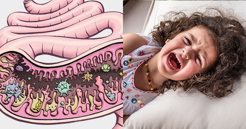 link gut bacteria and child behaviour