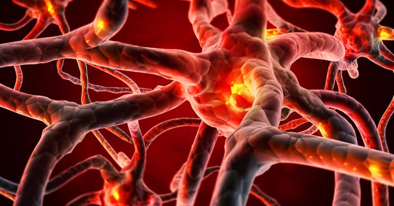 “The Brain Needs Animal Fat,” Psychiatrist Says - Featured image
