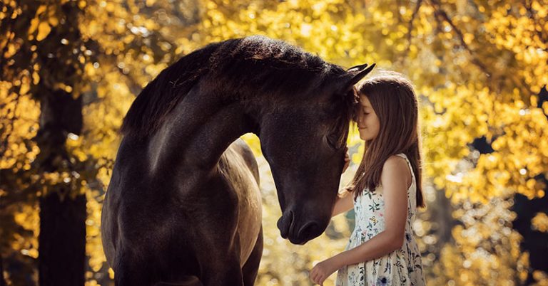 Study: Horses Are Able To Understand Human Emotions - Featured image