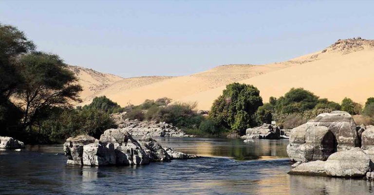 Scientists Use Recycled Sewage Water to Grow a Forest in the Middle of a Desert - Featured image