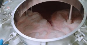 Six-Minute Video Shows How Lab Technicians Isolate “Meat-Like Compounds” to Create the Impossible Burger impossible burger
