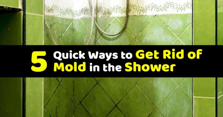5 Great DIY Recipes to Fight Stubborn Household Mold - Featured image