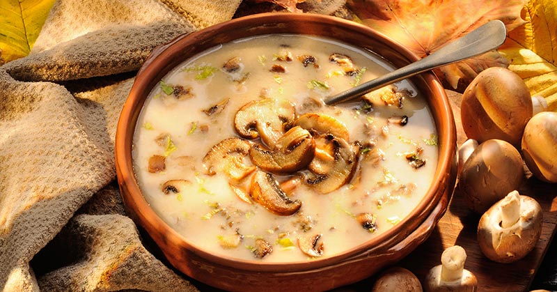 mushroom soup recipes