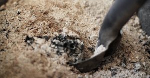 wood ash
