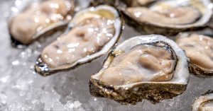 raw oysters