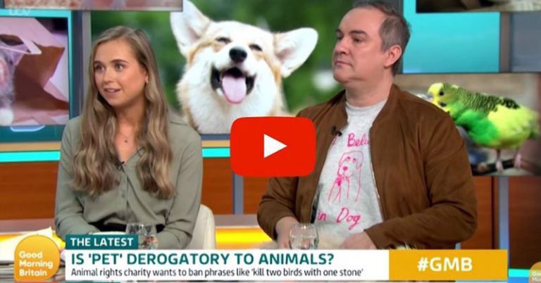 PETA Wants You To Stop Saying The Word ‘Pet’ Because It’s ‘Offensive to Animals’ - Featured image
