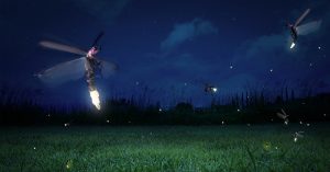 Fireflies are now threatened with extinction fireflies