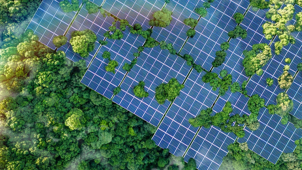 Solar panels installed in the green forest Clean alternative energy concept. Environment, solar energy, generator.