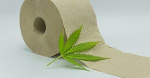 Why Hemp Toilet Paper Is An Eco Friendly Alternative To Tree-Based Tissues hemp paper towel