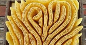 heart shaped hive