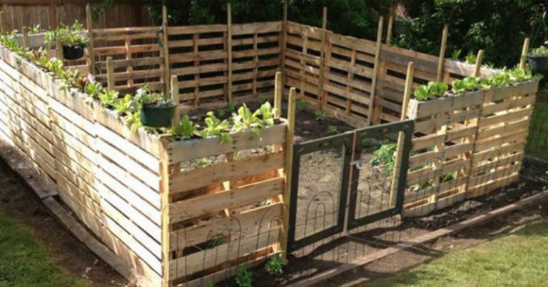 12 Impressive Pallet Fence Ideas Anyone Can Build - Featured image
