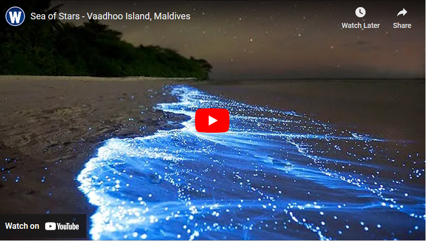 Glowing Beach, The Maldives