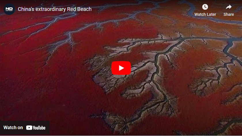 Red Beach, Panjin, China