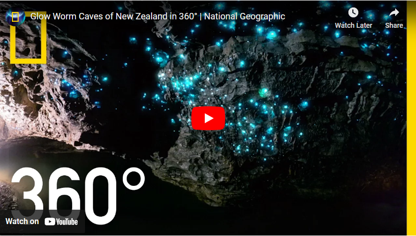 Glowworms Cave, New Zealand