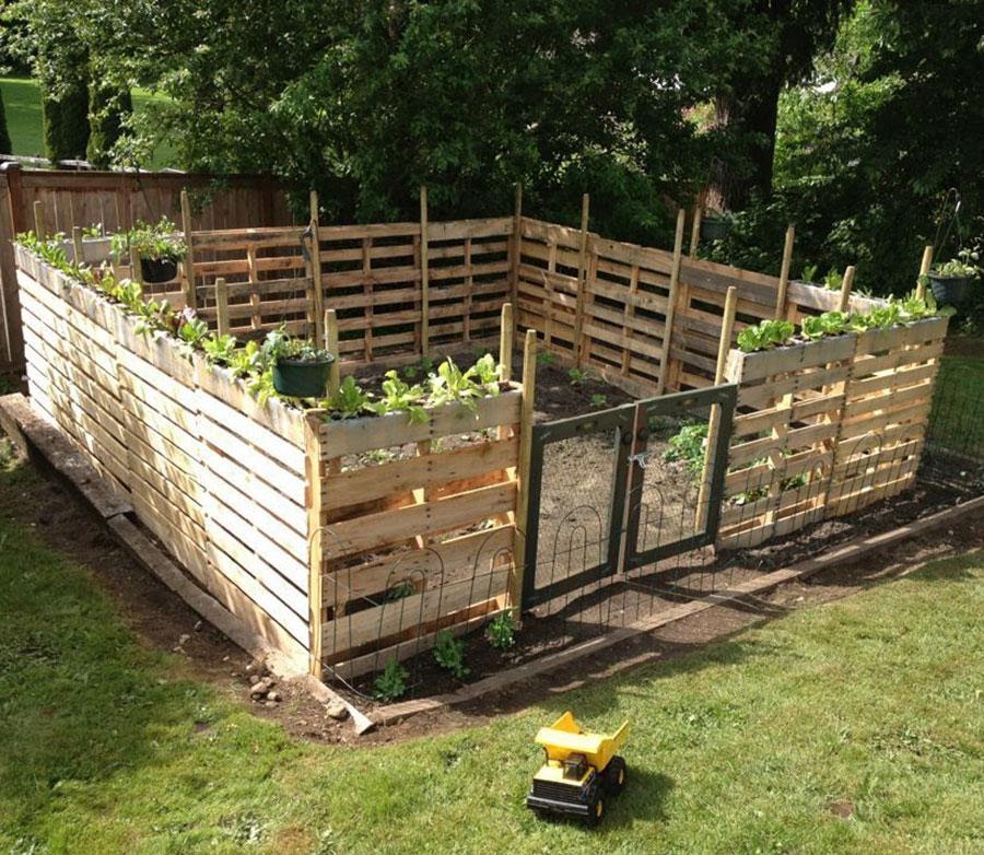 Pallet fence for store dogs