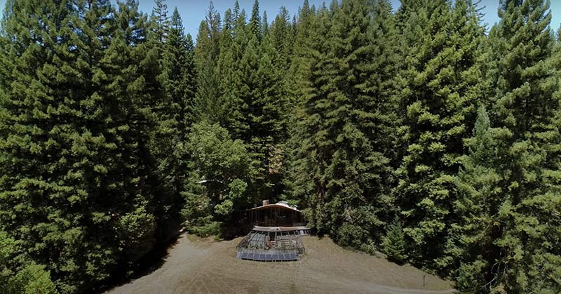 man living offgrid redwoods