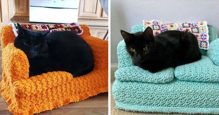 People in Quarantine Are Using Their Free Time to Crochet Tiny Couches for Their Cats - Featured image