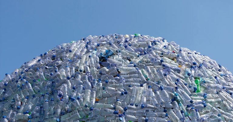 New plant-based bottles will degrade in a year - Featured image