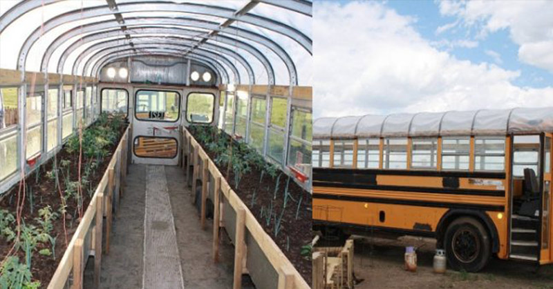 school bus greenhouses