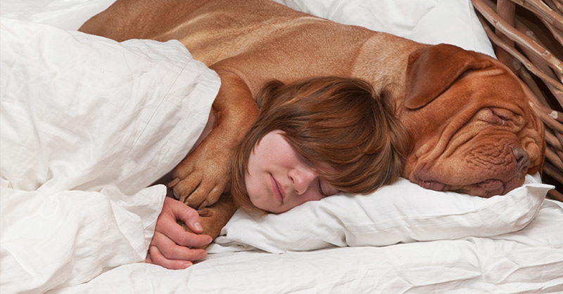 woman sleeping with dog