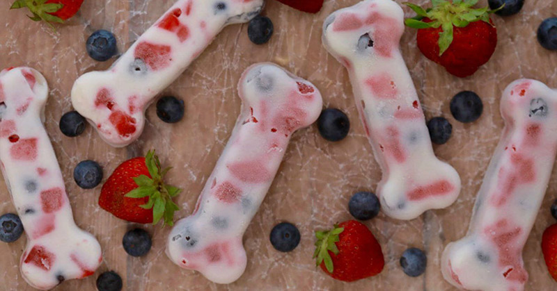6 Homemade Frozen Dog Treat Recipes to Try This Summer - Featured image