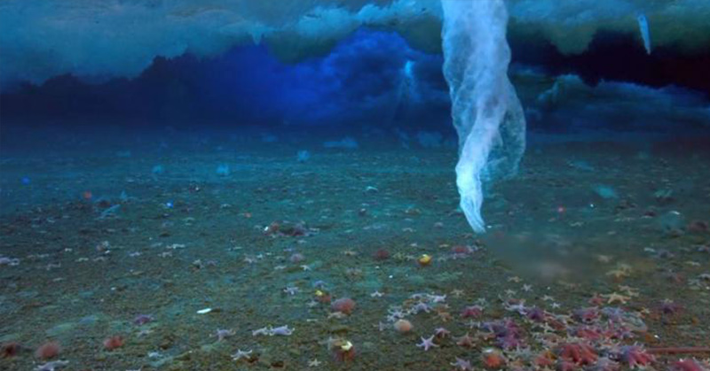 The formation of an ‘ice finger of death’ caught live on camera. - Featured image