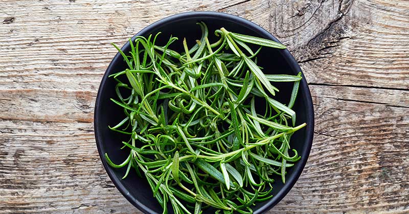 15 Unusual Ways To Use Rosemary That Go Way Beyond Cooking - Featured image