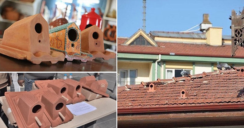 factory roof tiles bird shelters