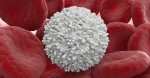 Autoimmune Experiments Switch Immune Cells From Attacking The Body to Protecting It white blood cell
