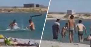 Seal Is Beaten Unconscious By Tourists So 'Children Could Take Pictures With It' tourists beat seal unconscious