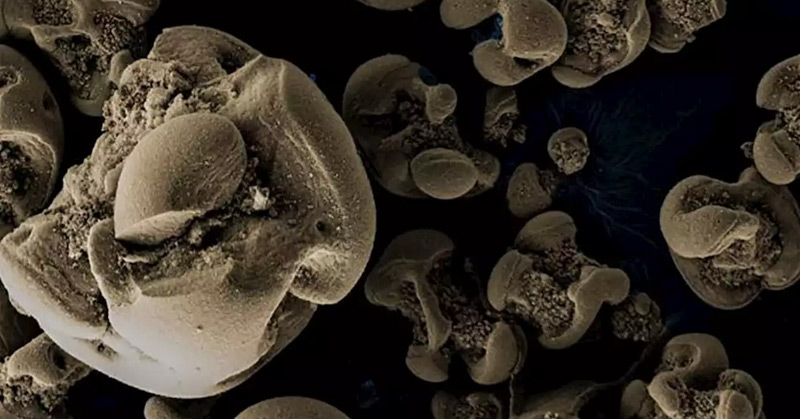 Bacteria that eat metal accidentally discovered by scientists - Featured image