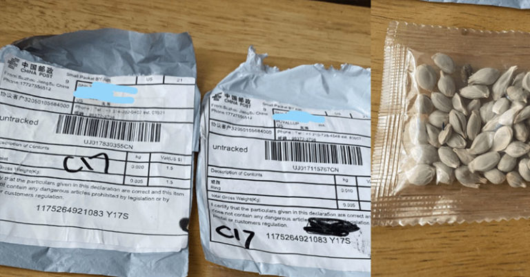 People All Over The USA Are Receiving Seeds In The Mail That They Did Not Order. Here’s What To Do If You Get Some - Featured image