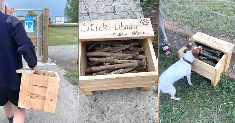 dog stick library