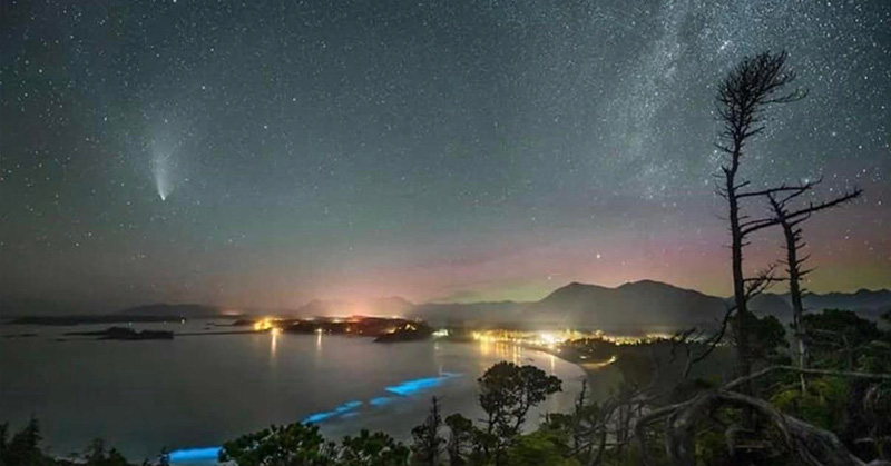 Spellbinding image captures rare comet, northern lights, Milky Way, and bioluminescence (PHOTOS) - Featured image