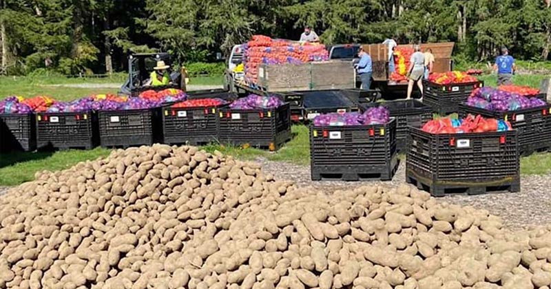 Washington Man Rescues 2.4 Million Pounds of Farmers’ Crops Going to Waste, Gets Them to Food Banks Across State - Featured image