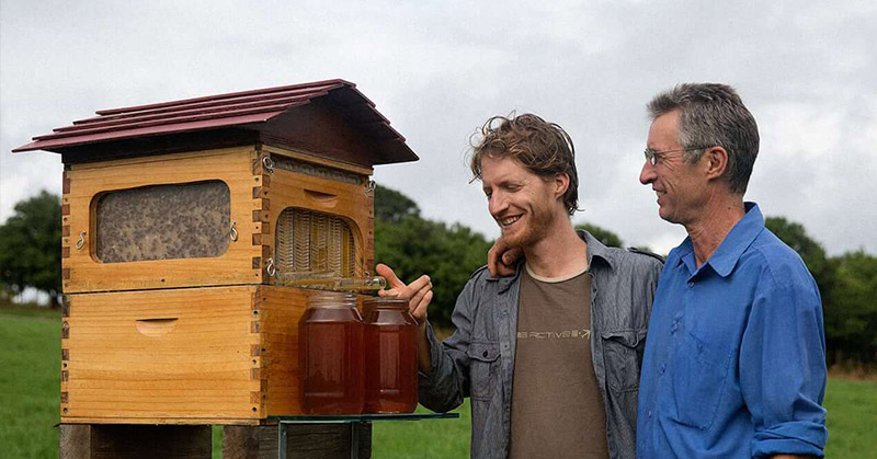 Father and Son Build 50,000 New Beehive Colonies Around the World - Featured image