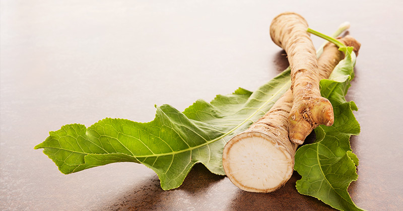 5 Health Benefits of Horseradish Root - Featured image