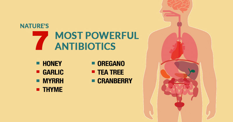 7 natural antibiotics