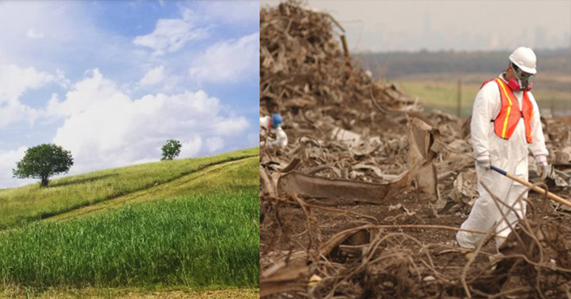 World’s Largest Garbage Dump Turned Into A Green Oasis of Native Grasses That Also Powers Homes - Featured image