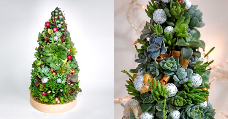 Succulent Christmas Trees Are A Gorgeous And Sustainable Alternative To Traditional Firs - Featured image