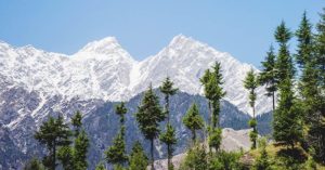 The Himalayan invention powered by pine needles himalaya