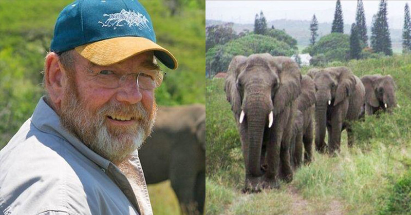 Guy Saved Elephants From Poachers, They Mourned His Death Outside His Home - Featured image