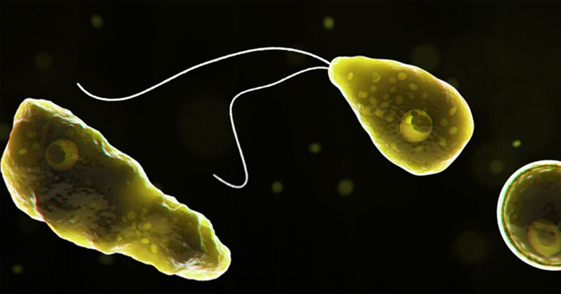 Brain-eating amoeba: What is it and how do you protect yourself - Featured image