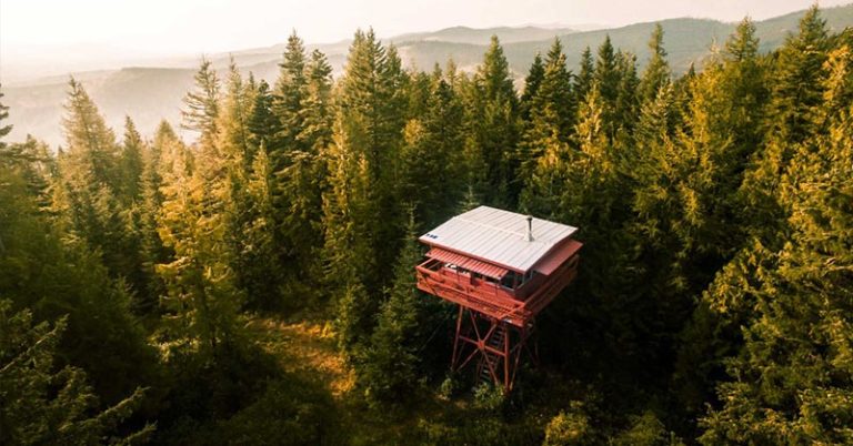 Cabins We Wouldn’t Mind Being Stuck in Right Now - Featured image