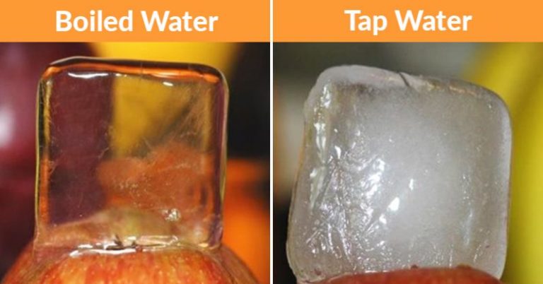 37 Facts About the World That Will Surprise the Most Intelligent People - Featured image