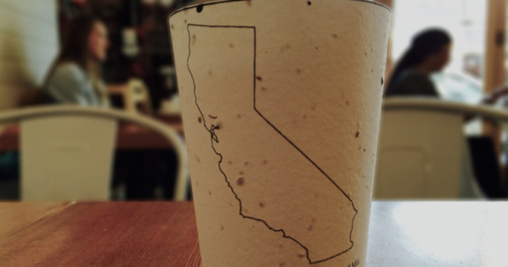 What Happened to the Biodegradable Coffee Cups That Grow Into Trees When Thrown Away? - Featured image